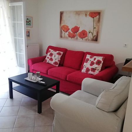 Sunny Stay Furnished Apartment In Kanoni Extérieur photo