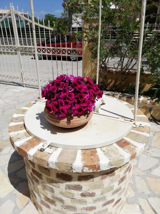 Sunny Stay Furnished Apartment In Kanoni Extérieur photo